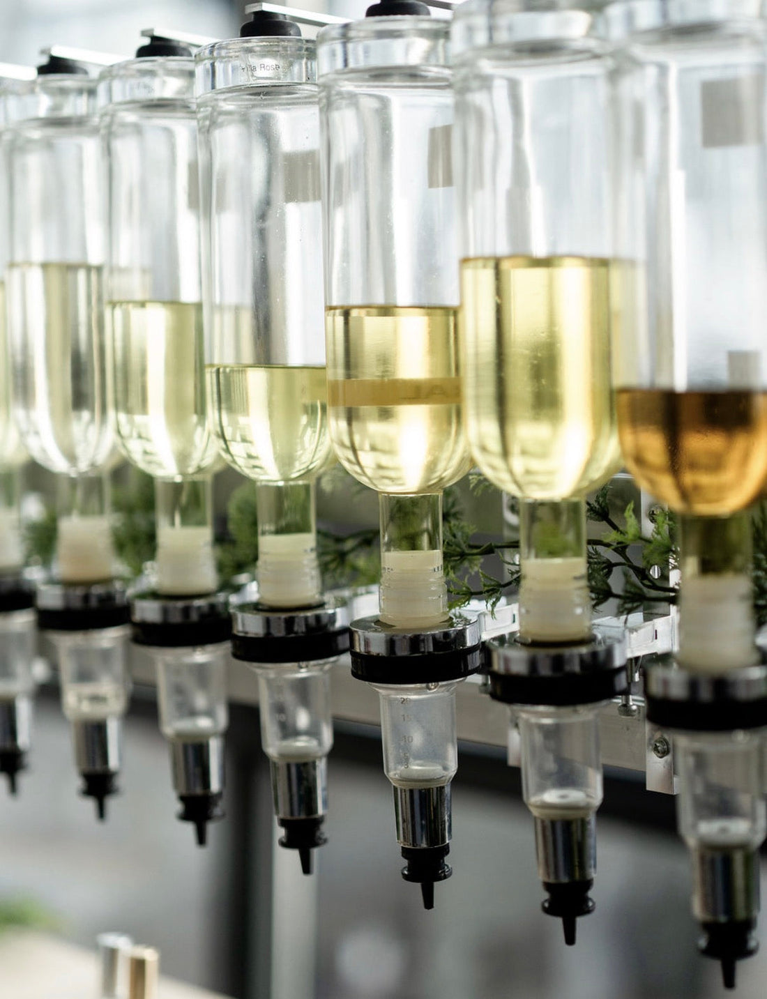 Top Fragrance Trends of the Year: Quiet Luxury, Comfort Scents, and Elevated Gourmands