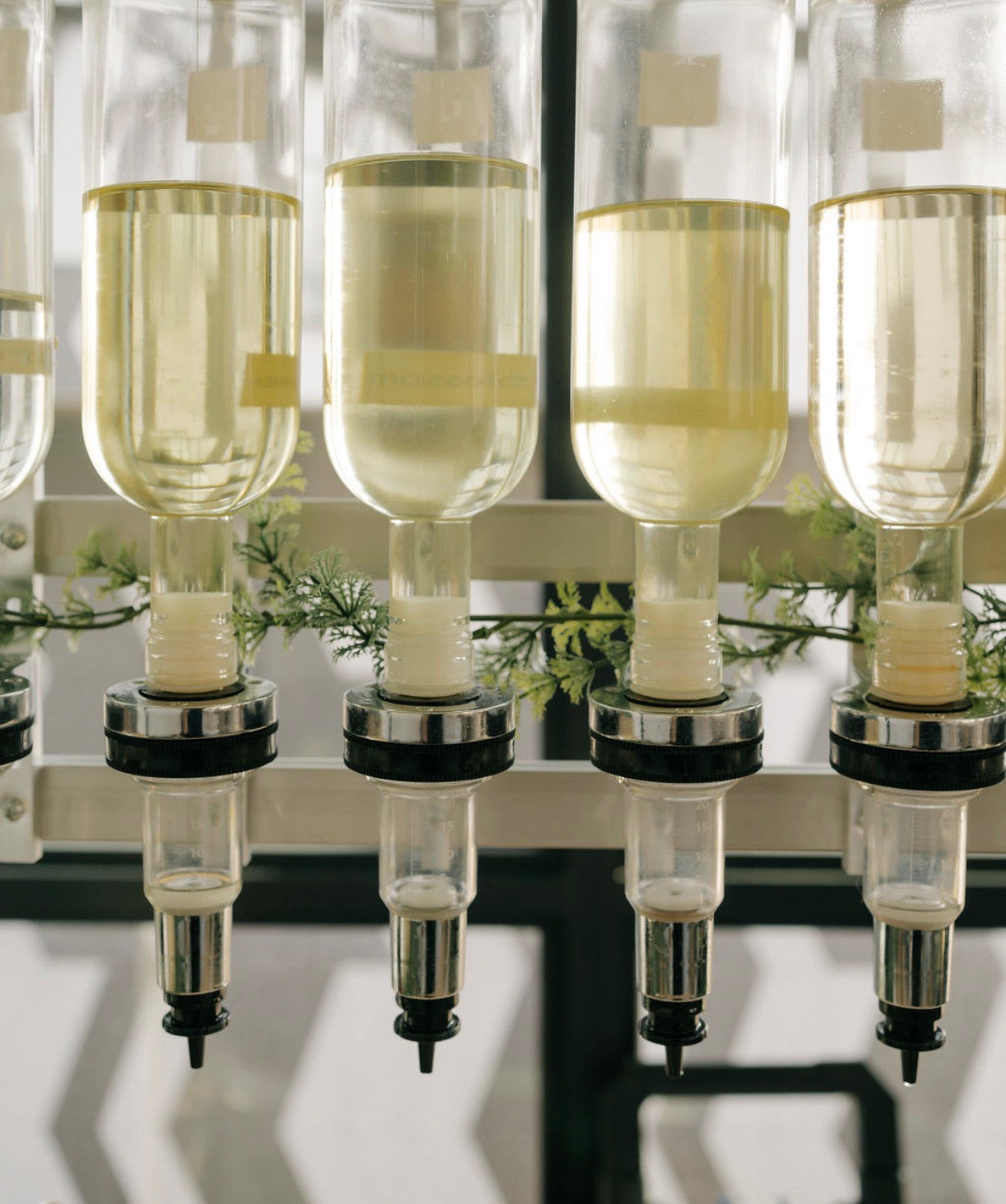 Eau De Parfum vs Eau de Toilette vs Perfume Oil: What’s the Difference?
