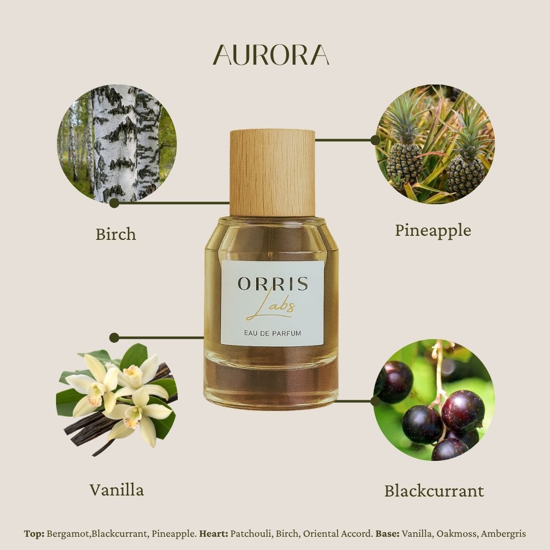 Aurora - A Vibrant Affair